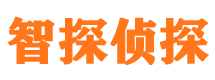 顺河外遇出轨调查取证